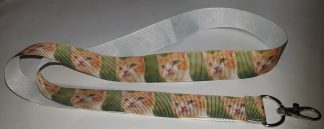 Katter Orange Vit Vitt Grön Grön