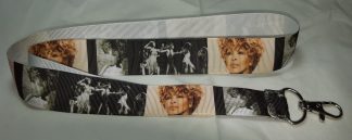 Tina Turner Kvinnlig artist Pop