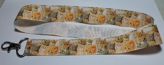 Katter Orange Grå Grått