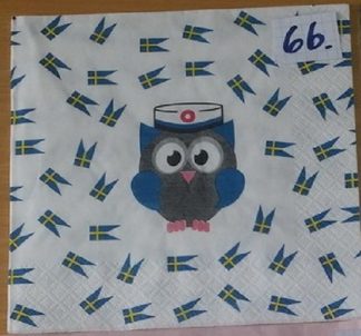1 st Servett: uggla med studentmössa nr 66